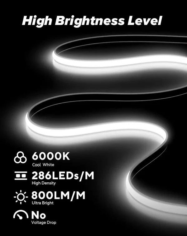 Ultra Bright LED Neon Rope Light – 800 Lumens per Meter, Driver-Free