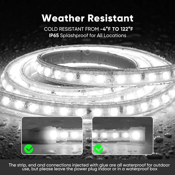 110V COB LED Strip Light, Driverless Cool White 6000K, ETL Listed, Waterproof LED Tape Light
